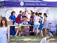 Adoptuj Warszawiaka  Wydarzenie promujące adopcję zwierząt. Organizator: Schronisko dla Bezdomnych Zwierząt "Na Paluchu". 18 sierpnia 2019, Park Raszyński w Raszynie. : park raszyński, adoptuj warszawiaka, na paluchu, schronisko dla zwierząt, centrum warszawy, raszyn